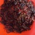 湖北荆州小龙虾有需要请联系