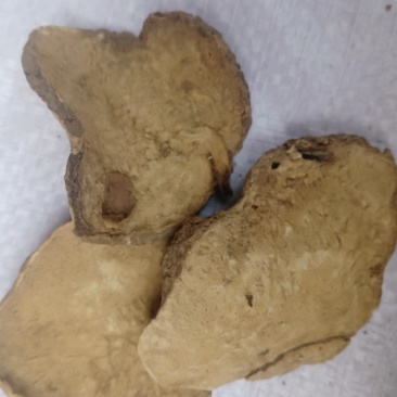 白药子，滇白药子片，干净无杂价格优惠现货供应！