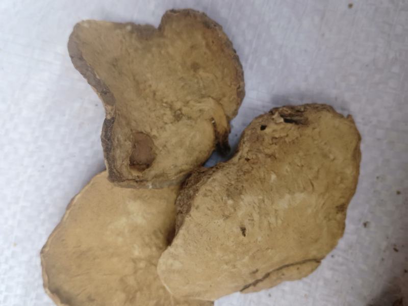 白药子，滇白药子片，干净无杂价格优惠现货供应！