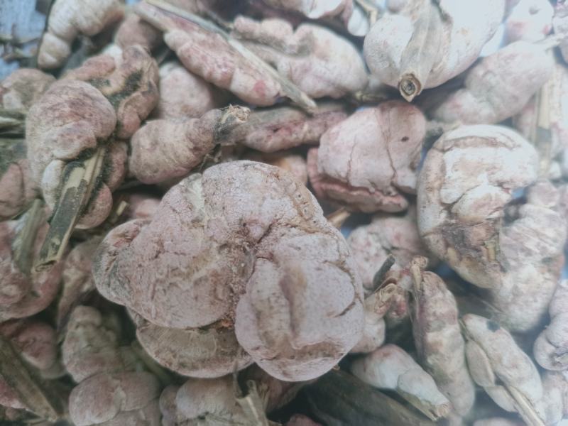 竹黄，竹花野生中药材，质量保证欢迎咨询！经营各种中药材！