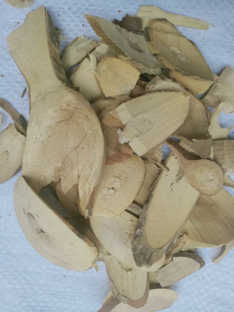 接骨木，中药材接骨木切片质量保证，经营各种中药材欢迎咨绚