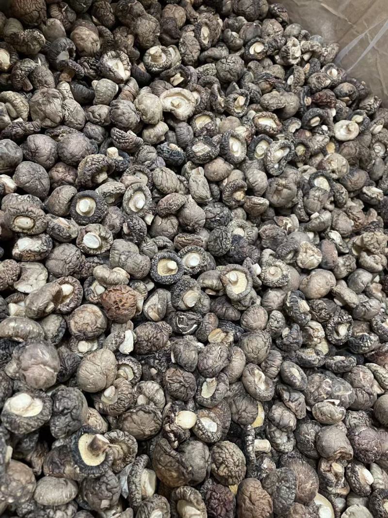 小号香菇，产地河南，形状饱满，厚肉，48斤一件起39元