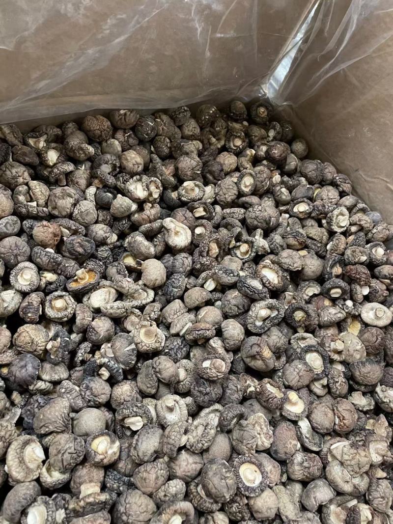 小号香菇，产地河南，形状饱满，厚肉，48斤一件起39元