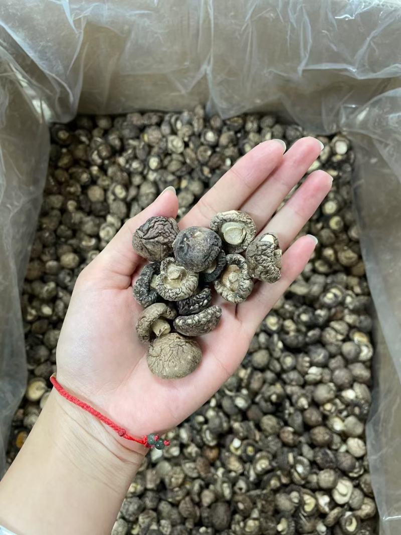 小号香菇，产地河南，形状饱满，厚肉，48斤一件起39元