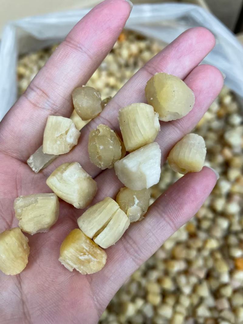 瑶柱A厂400头大连干贝，中等品质，9干度