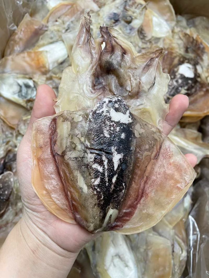 10头本港墨鱼纯淡干墨鱼，纯淡干货，味道很香