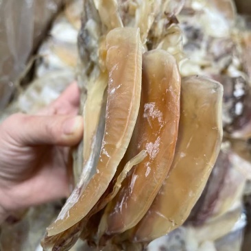 10头本港墨鱼纯淡干墨鱼，纯淡干货，味道很香