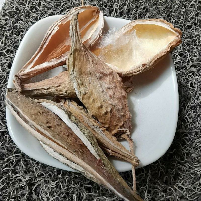 天浆壳中药材天降壳萝摩荚哈喇瓢按方抓药