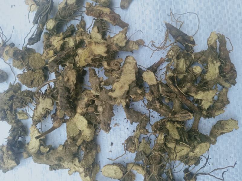 仙灵脾淫洋霍根切片质量保证，经营千余种中药材欢迎咨询！