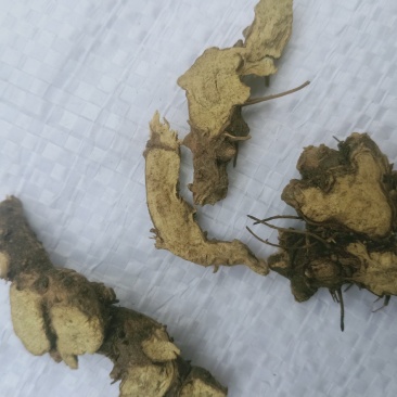 仙灵脾淫洋霍根切片质量保证，经营千余种中药材欢迎咨询！