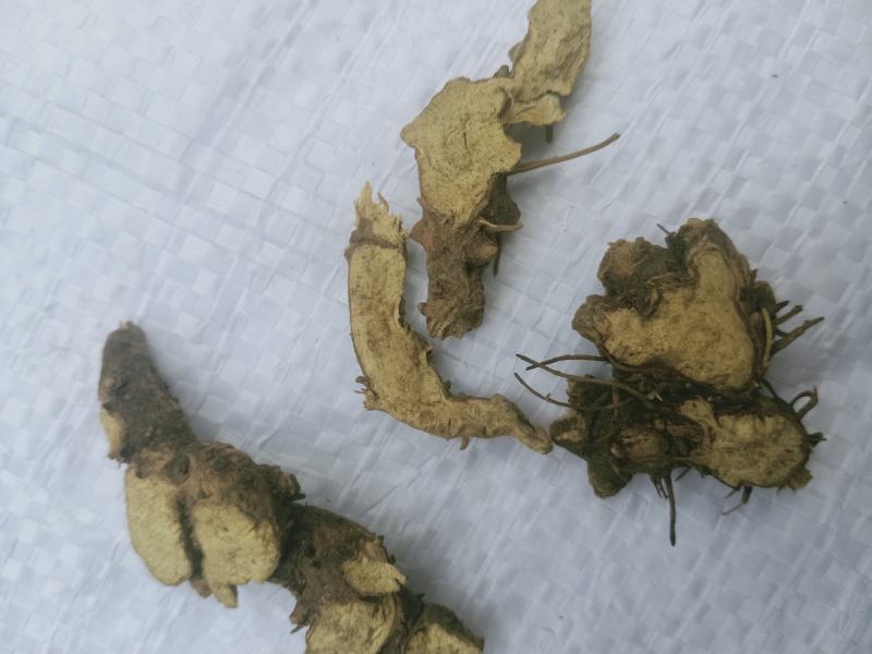 仙灵脾淫洋霍根切片质量保证，经营千余种中药材欢迎咨询！