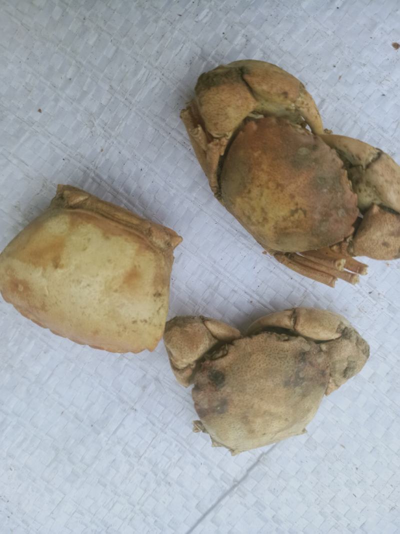 方海，螃蟹甲质量保证，经营千余种中药材欢迎咨询！
