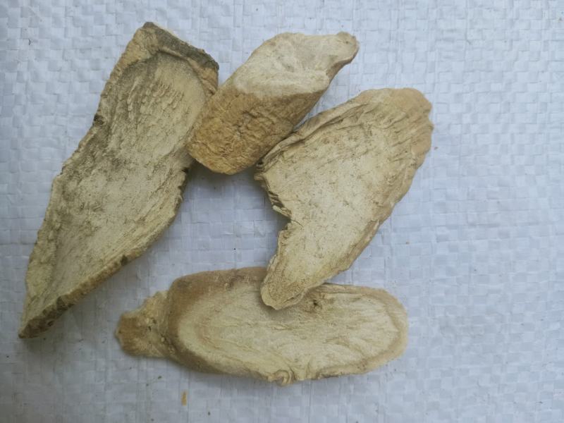 青阳参，中药材青阳参质量保证，经营千余种中药材欢迎咨询！