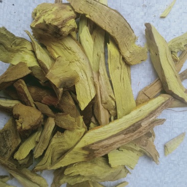 三棵针，中药材三棵针片质量保证，经营各种中药材欢迎咨询！