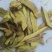 三棵针，中药材三棵针片质量保证，经营各种中药材欢迎咨询！