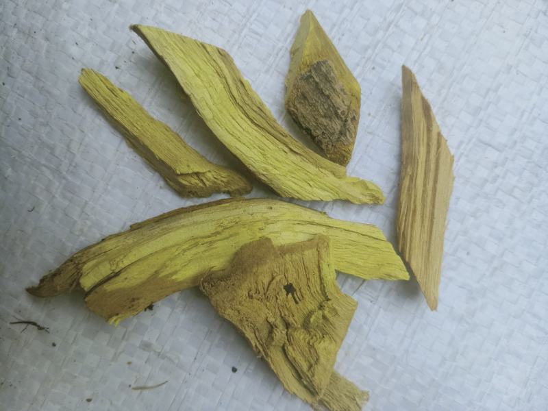 三棵针，中药材三棵针片质量保证，经营各种中药材欢迎咨询！