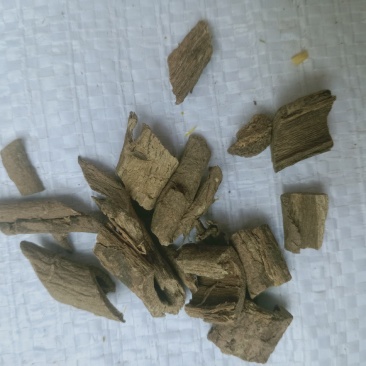 南五加皮，正品五加皮，经营各种中药材欢迎咨询！
