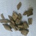 南五加皮，正品五加皮，经营各种中药材欢迎咨询！