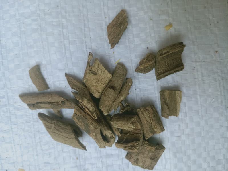 南五加皮，正品五加皮，经营各种中药材欢迎咨询！