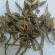 大蓟根，中药材大蓟根切片质量保证，经营各种中药材欢迎咨询