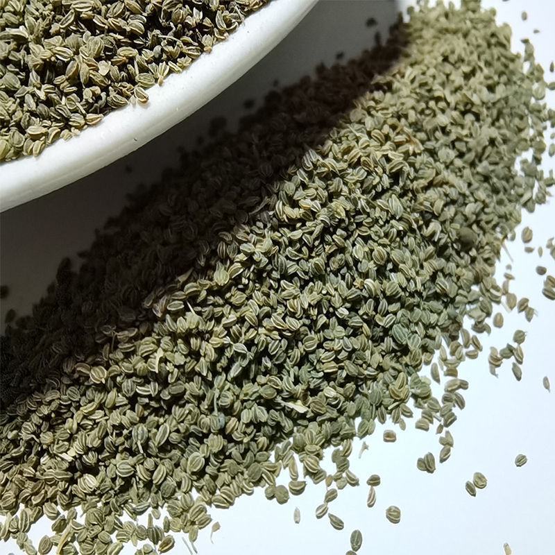 芹菜籽芹菜籽粉芹菜子药用芹菜籽袋泡茶泡水