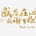潮汕潮州甜杨桃！产地直供！直接面对果农！