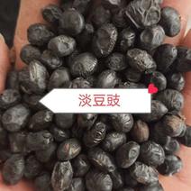 淡豆豉中药材药用无硫大豆豉批发中药材