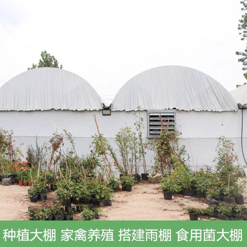 黑白膜大棚膜进口黑白膜国产黑白膜大棚养殖用膜