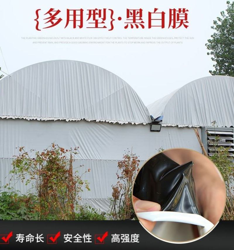 黑白膜大棚膜进口黑白膜国产黑白膜大棚养殖用膜