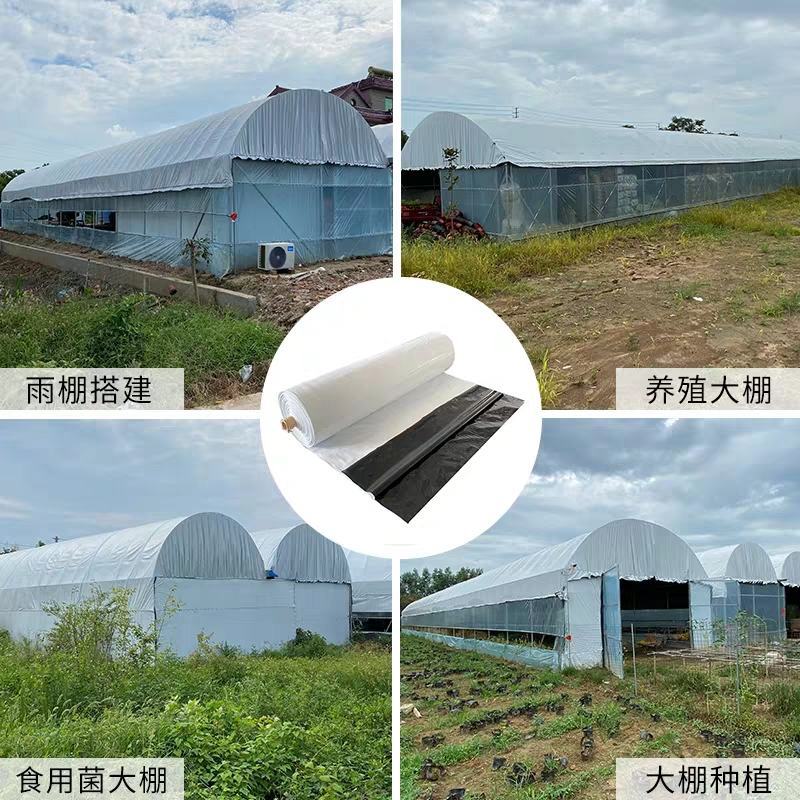 黑白膜进口黑白膜国产黑白膜大棚蔬菜养殖大棚用膜