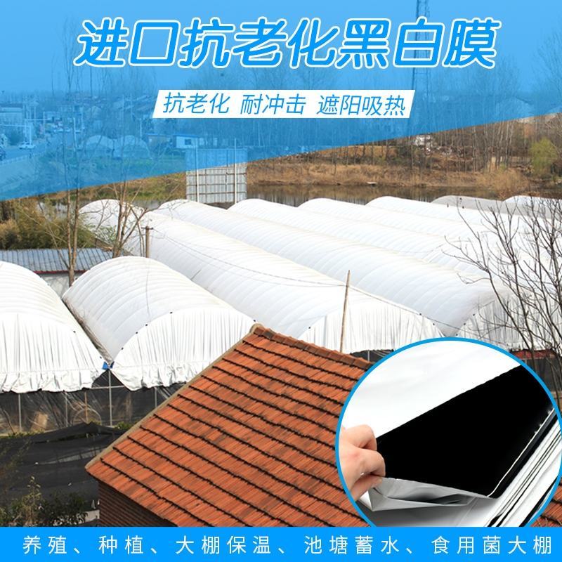 黑白膜大棚养殖专用膜反光膜包邮可视频看货选货一亩田线上