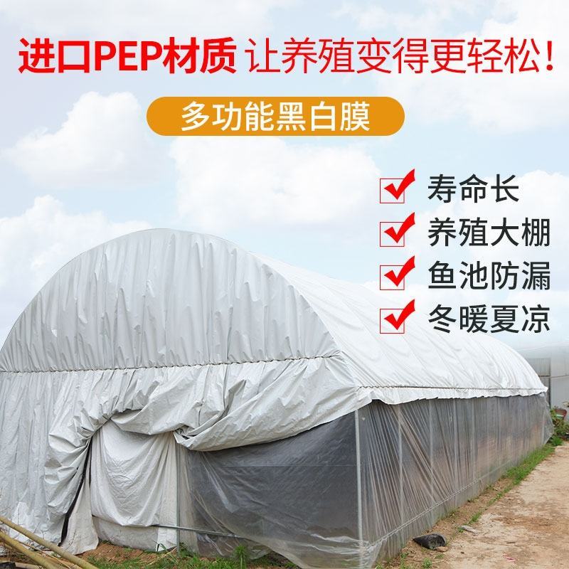 黑白膜大棚养殖专用膜反光膜包邮可视频看货选货一亩田线上