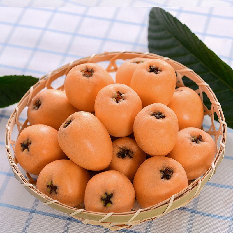 山地枇杷大量出售，味美多汁