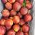 油桃，中油4号红油桃黄油桃，万亩以上，包装齐全，代收代发