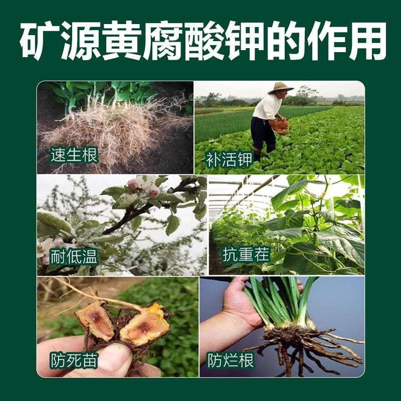 矿源黄腐酸钾水溶肥叶面肥激活土壤生根壮苗提高肥