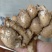 新鲜沙姜做出调料味香