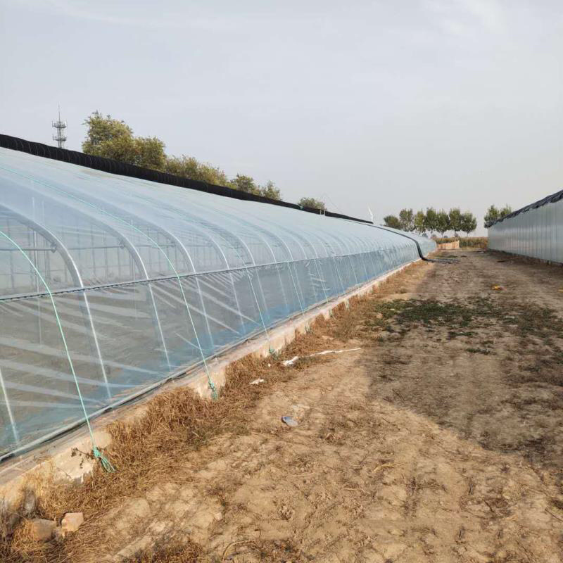 【大棚骨架】厂家生产批发大棚管镀锌管种植棚