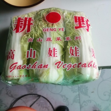 精品娃娃菜，产地直销，库存精品！电联视频，欢迎下单！