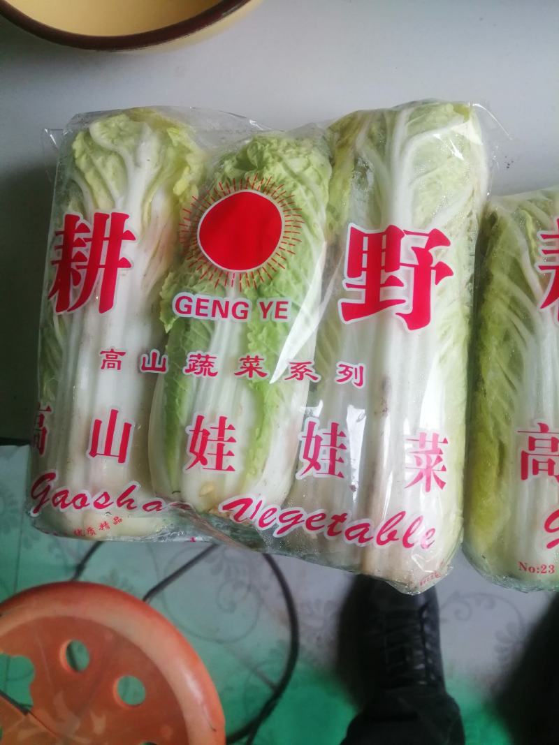 精品娃娃菜，产地直销，库存精品！电联视频，欢迎下单！