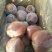 【苹果】红富士苹果纯正冰糖心一手货源无中间商代发全国