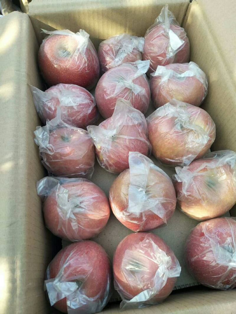 【苹果】红富士苹果纯正冰糖心一手货源无中间商代发全国