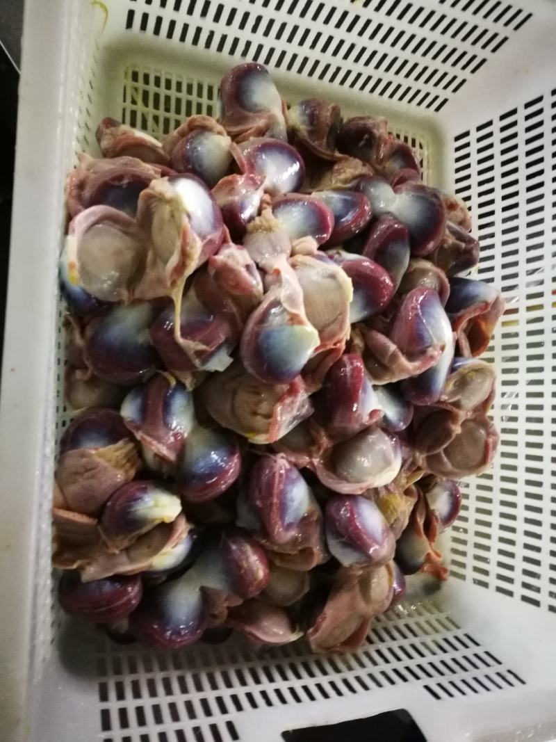 工厂直发大鹅胗，中号鹅胗，老鹅胗，卤水鹅珍