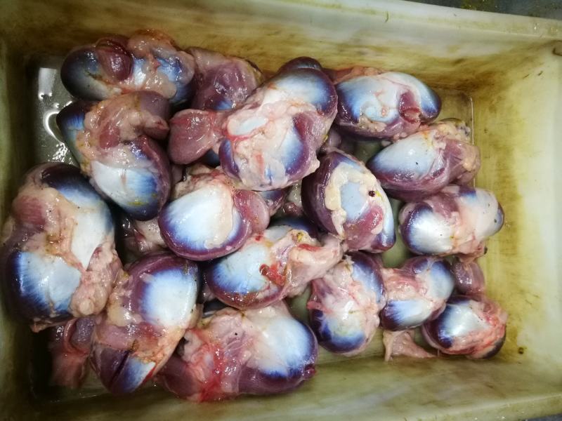 工厂直发大鹅胗，中号鹅胗，老鹅胗，卤水鹅珍