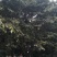 黄葛树1520253035405060