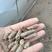 花生壳粉花生壳颗粒降低养殖本公司常年出售