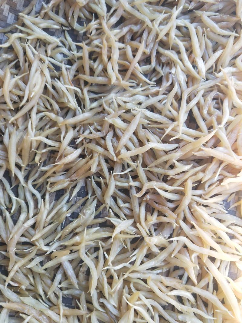 麦冬，，，干货有一吨多