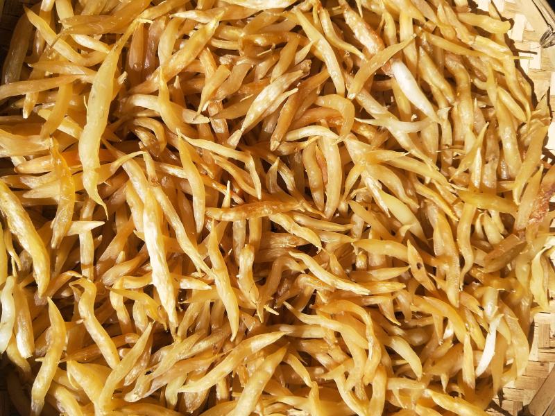 麦冬，，，干货有一吨多