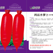 杂交水萝卜种子，品质保证！