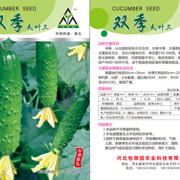 大包大刺黄瓜种子，开始销售了