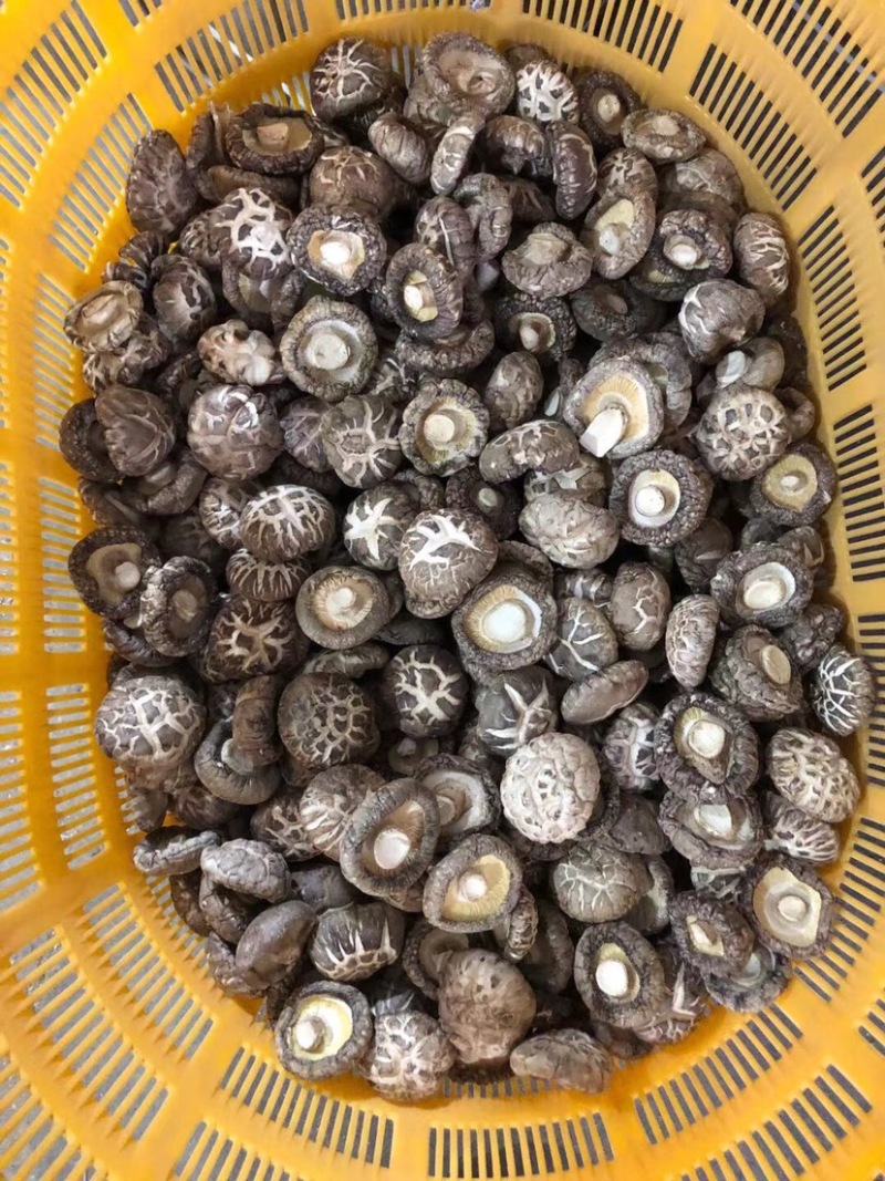 花菇干货春栽花菇茶花菇肉厚冬菇产地直供量大从优